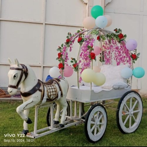 WhatsApp Image 2026-01-06 at 12.00.37 PM (3)