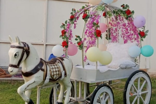 WhatsApp Image 2026-01-06 at 12.00.37 PM (3)